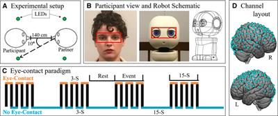 Comparison of Human Social Brain Activity During Eye-Contact With Another Human and a Humanoid Robot